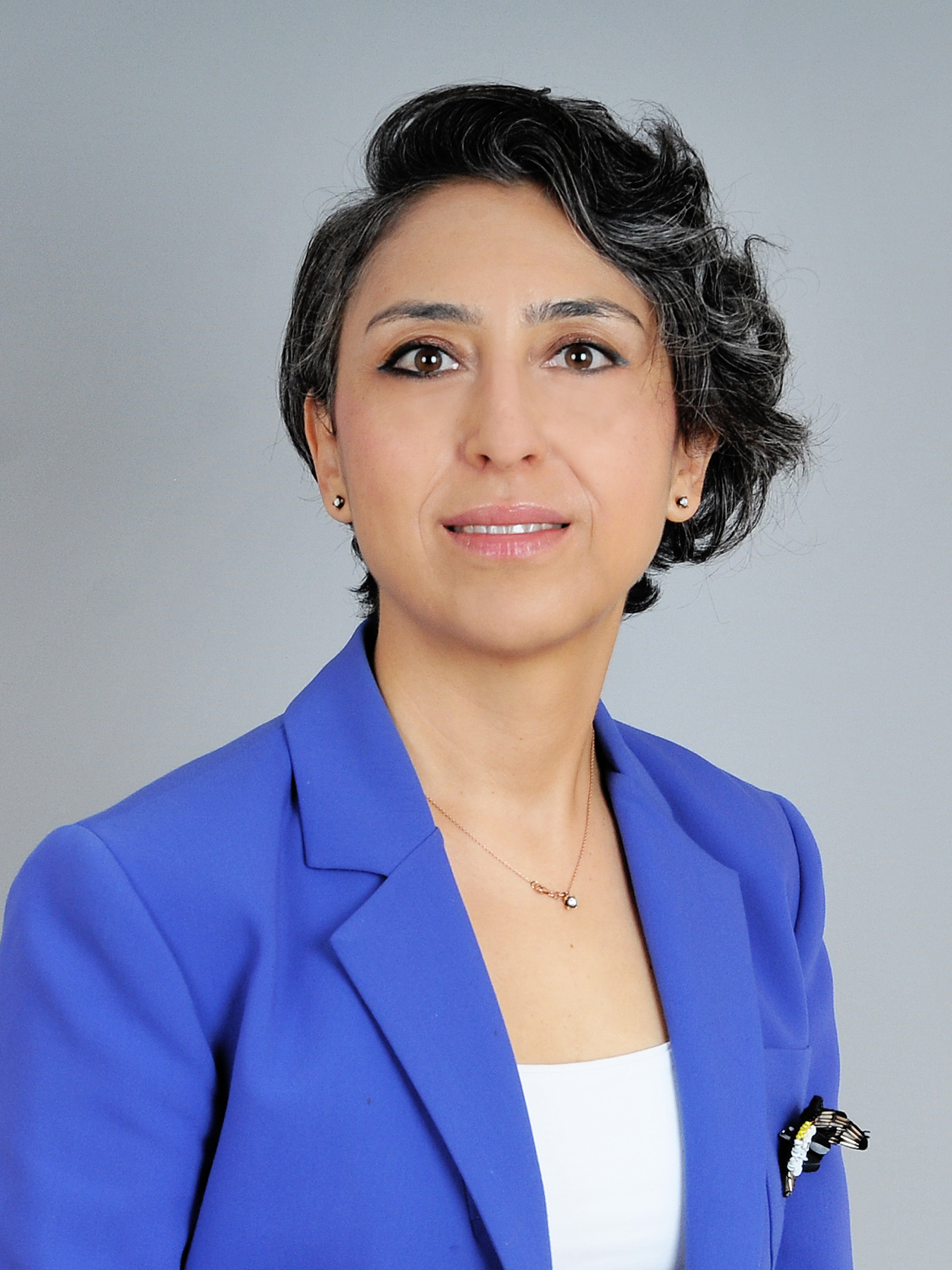 G&Ouml;ZDE G&Ouml;K&Ccedil;E İSBİR